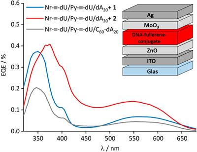 Molecular Chromophore-DNA Architectures With Fullerenes: Optical Properties and Solar Cells